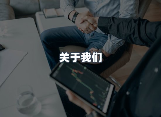 专业团队